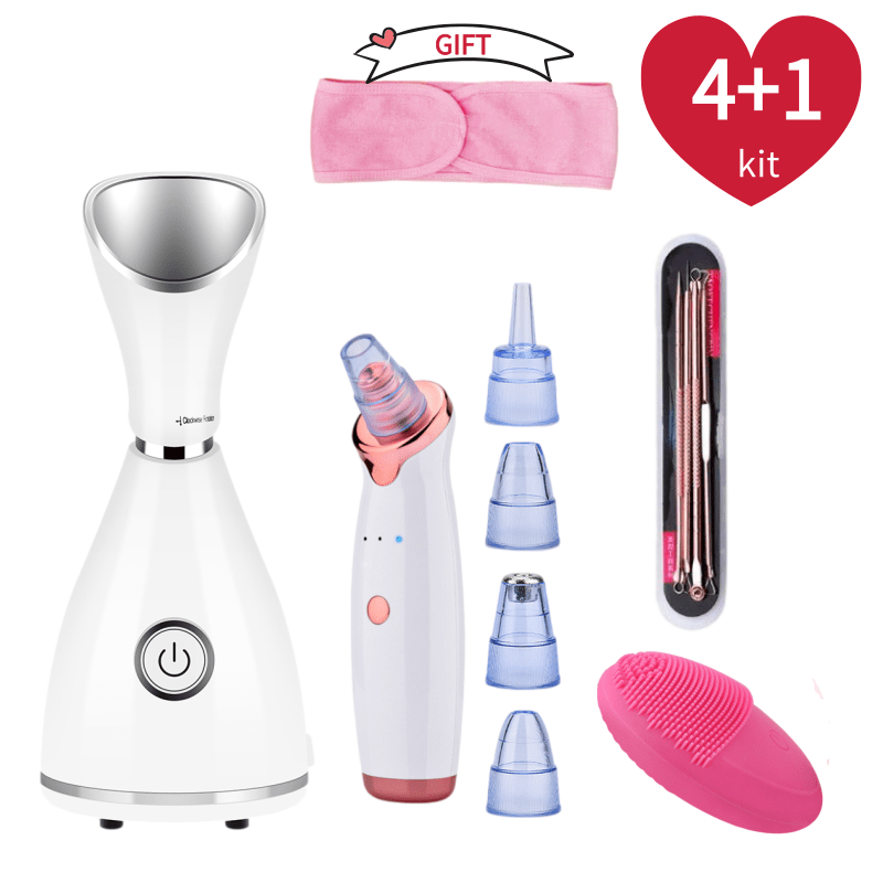 Face Steamer - Vaporisateur Facial Nano ionique, vapeur chaude,